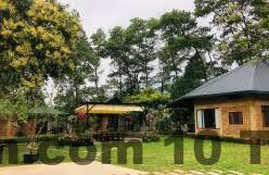 Phòng ngủ Maia House thiết kế tối giản