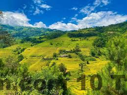 Phòng nghỉ đơn giản nhưng sạch sẽ và gọn gàng tại Long Hướng Duy Hostel.