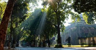 Vị trí Mai Anh Hotel