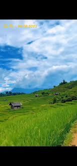 Nhân viên tại khách sạn luôn tận tình và chu đáo trong từng dịch vụ.