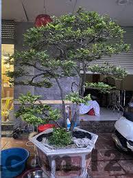 Khu vực bãi biển gần Khách sạn Hùng Phương Cô Tô, khoảng cách di chuyển ngắn từ khách sạn