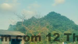 Quán ăn địa phương gần Khách Sạn Minh Đức 2 tại Trùng Khánh