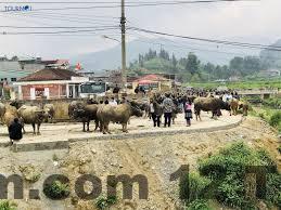Khu vực lễ tân khách sạn Ngan Nga Bac Ha Hotel