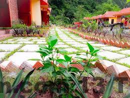 Khách sạn không có hồ bơi hay spa nhưng có dịch vụ cho thuê xe đạp