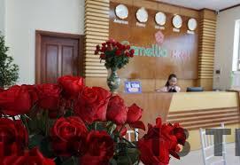Camellia Hotel Thanh Hóa Review: Nơi Lý Tưởng Cho Những Trải Nghiệm Đáng Nhớ 2 Vị trí khách sạn Camellia