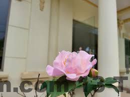 Camellia Hotel Thanh Hóa Review: Nơi Lý Tưởng Cho Những Trải Nghiệm Đáng Nhớ 7 Giá trị tại Camellia Hotel