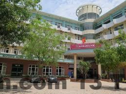 Hồ bơi tại khách sạn với không gian thư giãn.