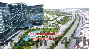 Khu vực lễ tân The Muse Hotel 1 Đồ Sơn với phong cách đơn giản và gọn gàng