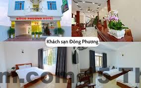 Khu vực lễ tân Đinh Gia Hotel với phong cách phục vụ thân thiện