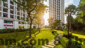 khong gian xanh vinhomes times city