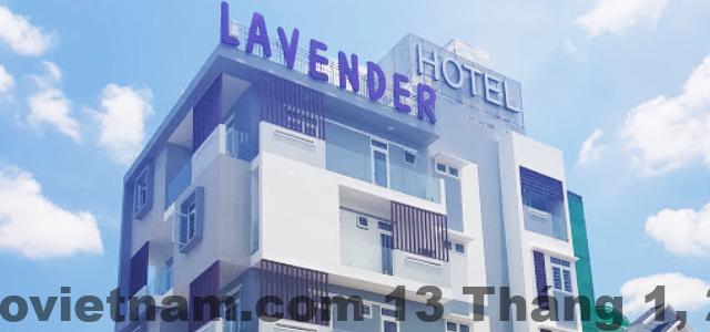 lavender hotel can tho