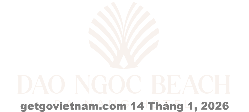 logo 2 e1758879271651 2048x925 1