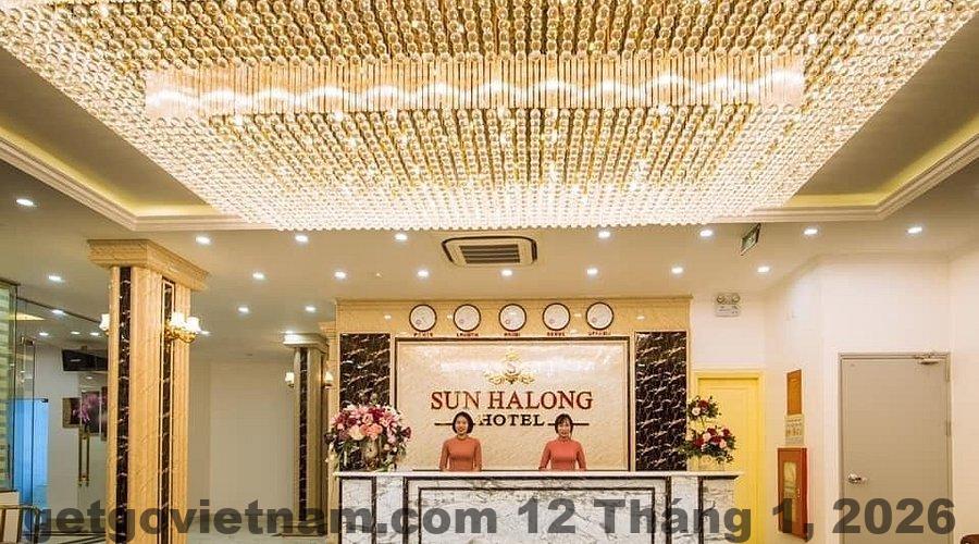 mang trong minh v d p