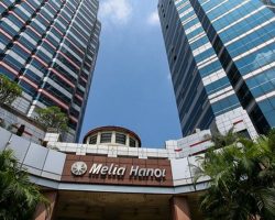 melia-3-1614523338783