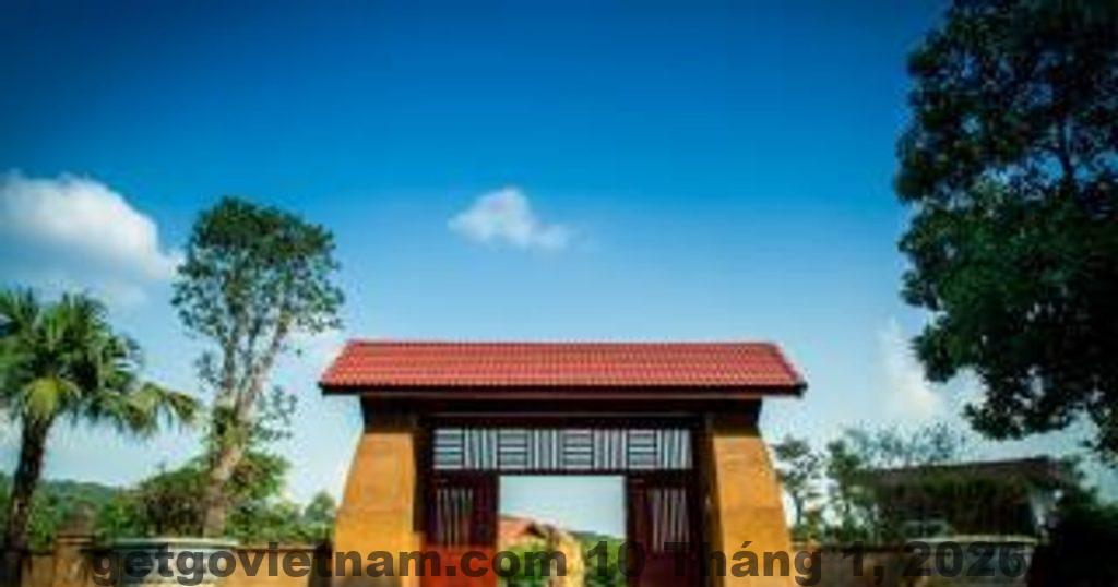 nguoihanoi com vn vuon sinh thai ngoc linh 79 khu e ho dong quan xa quang tien huyen soc son ha noi 53661