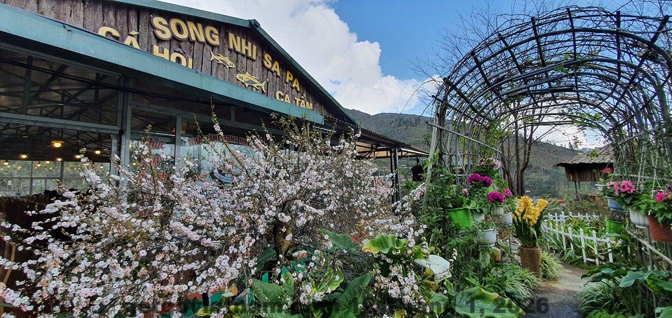 Khách sạn Song Nhi Sapa Review 2026: Có nên ở khi đi Sapa? 7 Nhà hàng Song Nhi Sapa phục vụ món ăn địa phương và đặc sản vùng Tây Bắc