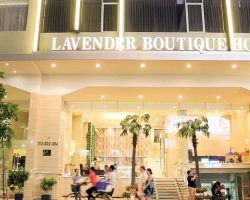 Khách Sạn Lavender Hà Nội Review 2026: Giá Rẻ Nhưng Có Đáng Ở? overview-13