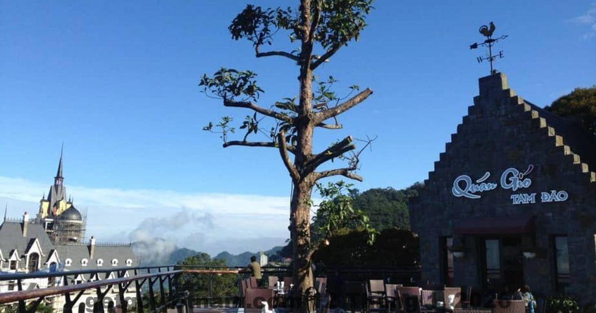 Không khí trung tâm thị trấn Tam Đảo gần khách sạn Ánh Dương