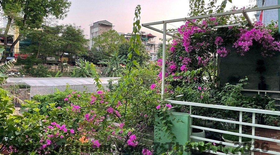 Luxe Paradise Residence Hà Đông – Review chi tiết 2026 | GetGo Vietnam 3 Khu vực Dương Nội Hà Đông gần Luxe Paradise Residence