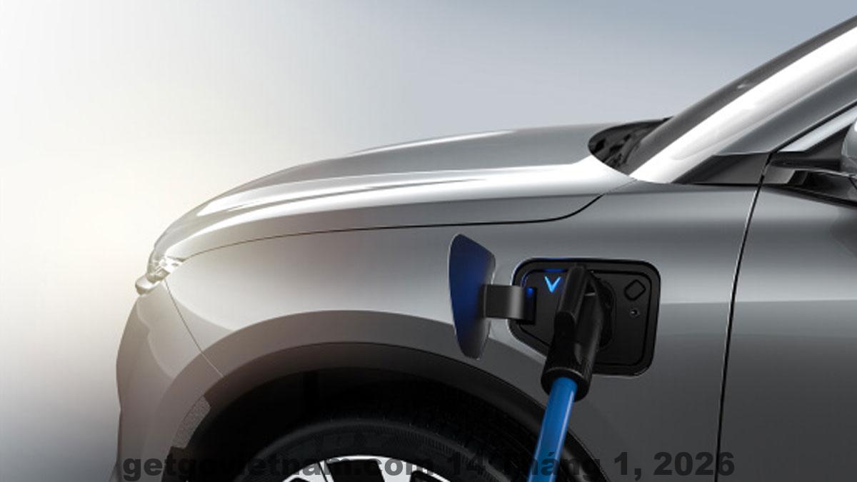 Thịnh Cường Hotel thuộc phân khúc giá bình dân, phù hợp khách công tác và gia đình