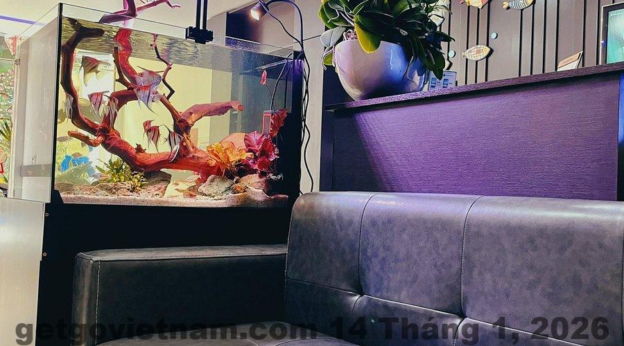 Phòng ngủ DT Hotel Hải Phòng với nội thất cơ bản, gọn gàng