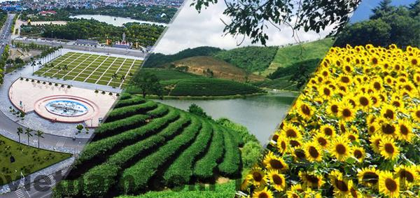 Khung cảnh gần khu vực khách sạn với các điểm du lịch xung quanh