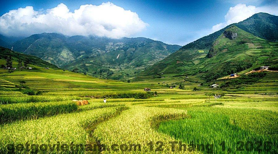 Khung cảnh yên bình tại thung lũng Tu Le gần khách sạn