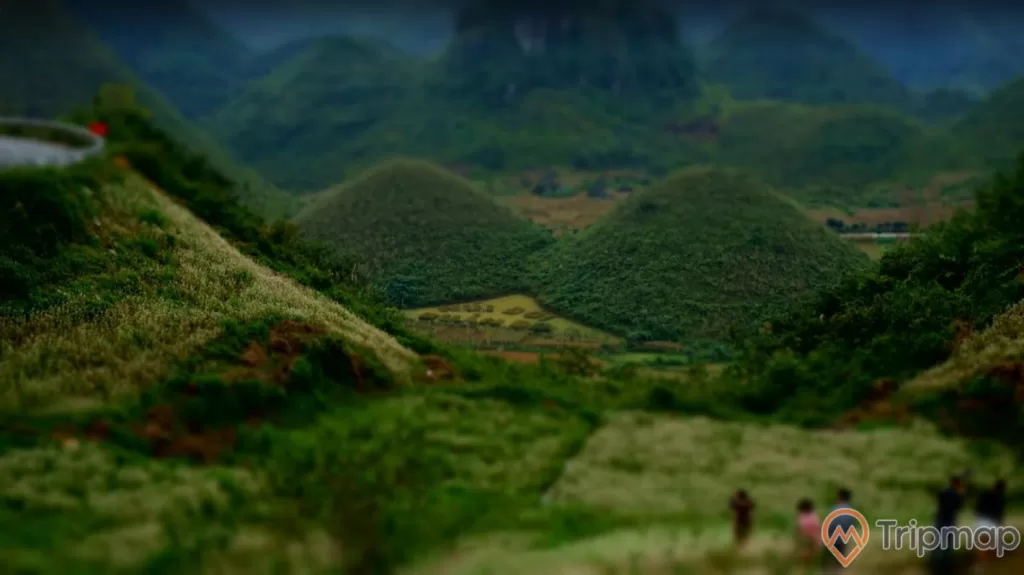 Bữa sáng với món phở chua đặc trưng của Hà Giang.