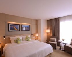 Khách sạn The Ann Hà Nội review 2026: Có đáng ở không? the-ann-hanoi-hotel-63d739476a788