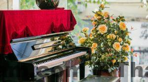 the noble swan hotel