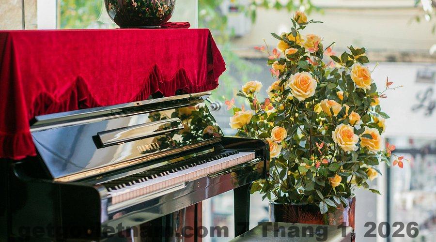 the noble swan hotel