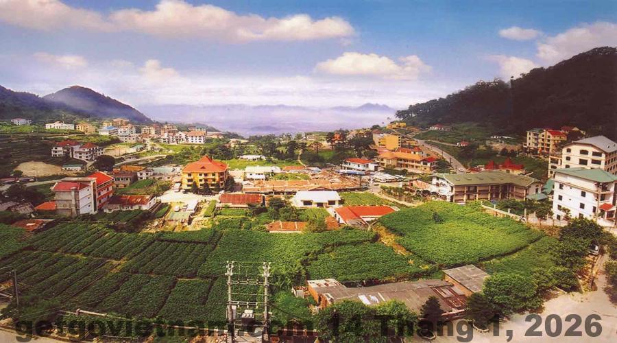 Khu vực trung tâm thị trấn Tam Đảo gần khách sạn Ngân Hà, thuận tiện đi bộ tham quan