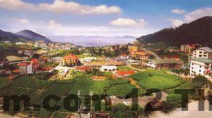 thi tran tam dao 942bba7c 908d 46c8 948f fc56f36e0979