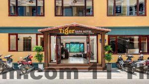 tiger sapa hotel080220241707351496