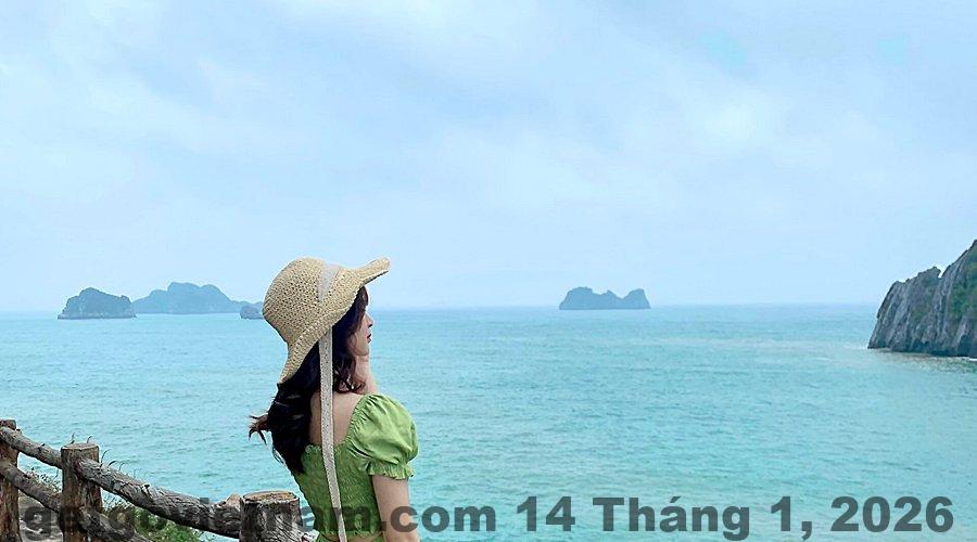 Nhân viên Quang Thang Cat Ba Hotel hỗ trợ và giao tiếp thân thiện với khách lưu trú