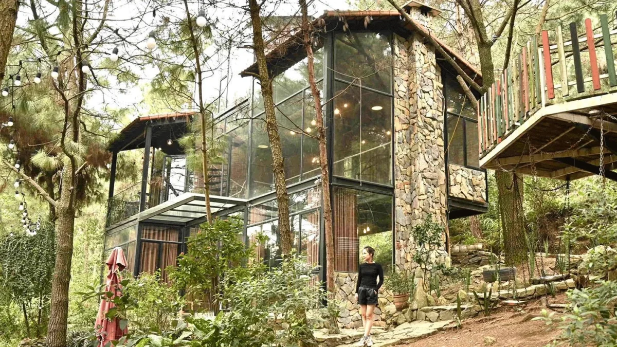 Phòng nhà kính tại The Moonlight Villa Sóc Sơn với view rừng thông