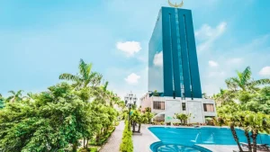 vietgoing ohc2209157664