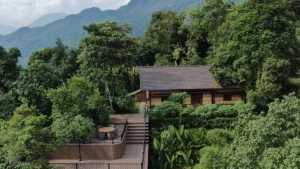 vietgoing zou2209057349