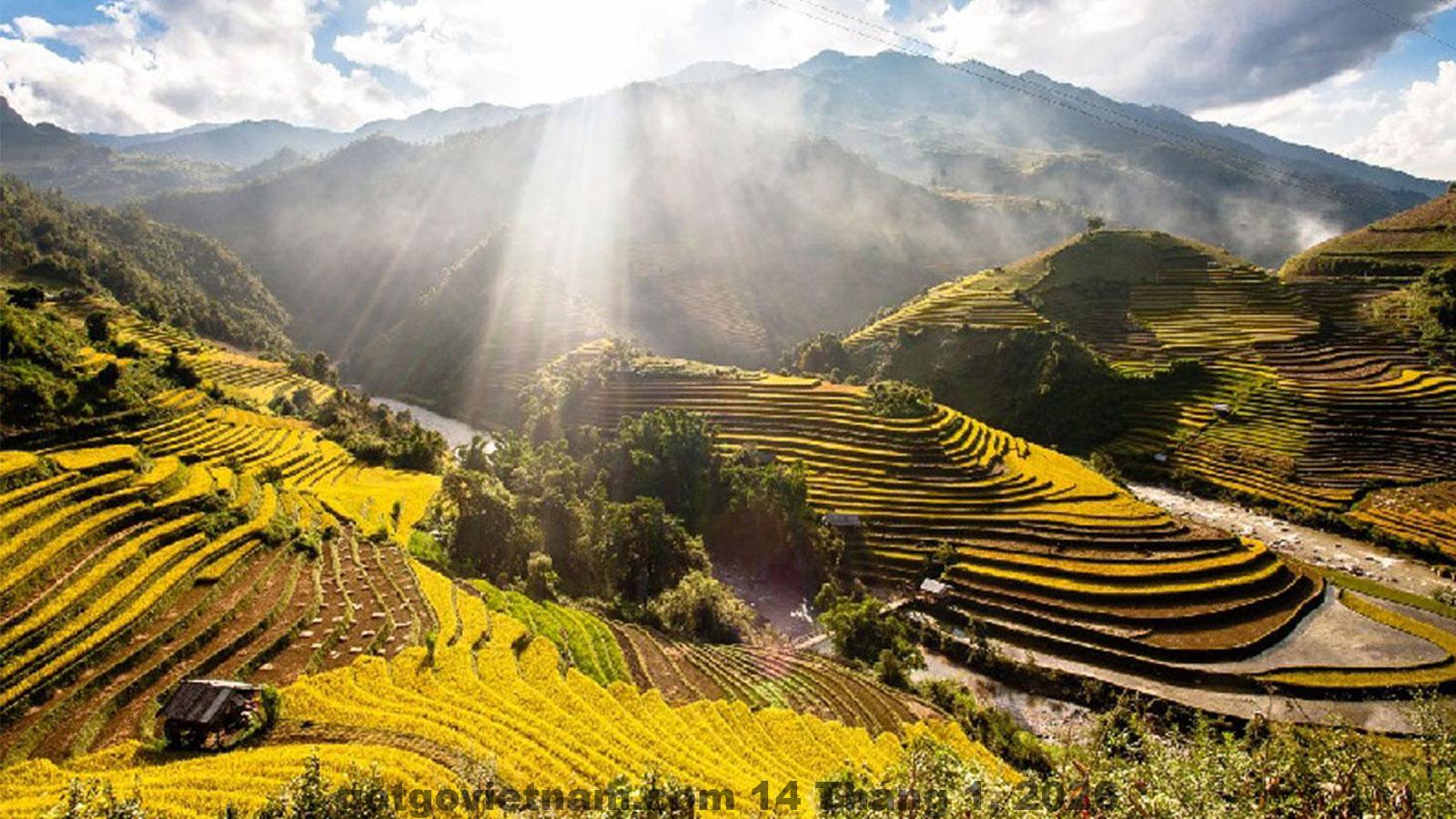 Toàn cảnh thung lũng Tú Lệ Yên Bái nơi Khách Sạn Mường Hoa tọa lạc, bao quanh bởi núi rừng và ruộng bậc thang