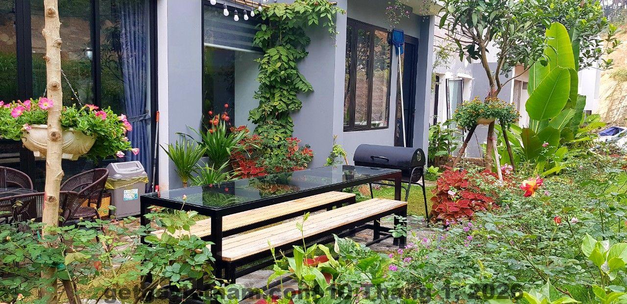 Areca Villa F316 Venus Resort by Flamingo Review 2026: Villa riêng tư cho nhóm đông 3 Không gian cây xanh và đường nội khu tại Venus Resort Flamingo Đại Lải